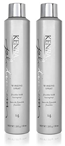 Kenra Platinum Working Spray 14