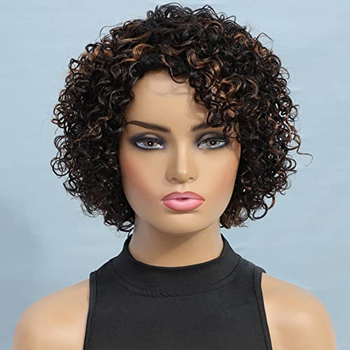 UDU Ombre Curly Wig