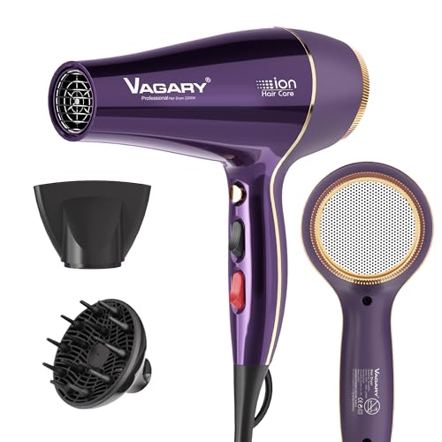 VAGARY 6690A Salon Pro Hair Dryer