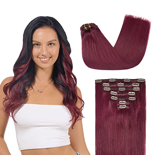 GOO GOO Clip in Hair Extensions Real Human Hair, Remy Human Hair Extensions Clip ins for Women, Natural Human Hair, 16inch 120g 7Pcs, 530 Burgundy