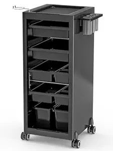 Paddie Salon Rolling Cart for Hair Stylist, 4 Organized Drawers, 2 Storage Baskets, Hairdryer & Tools Holder, Flexible Combination