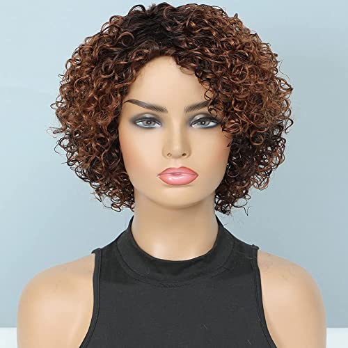 UDU Ombre Glueless Wig